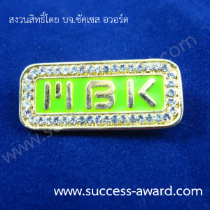 เข็มกลัดฝั่งพลอย