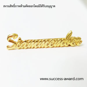 เข็มกลัดหล่อชุบทอง